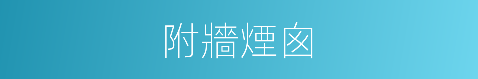 附牆煙囪的同義詞