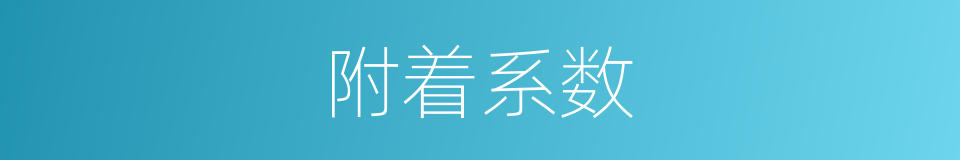 附着系数的同义词