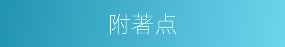 附著点的同義詞