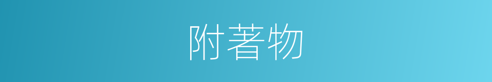 附著物的同義詞