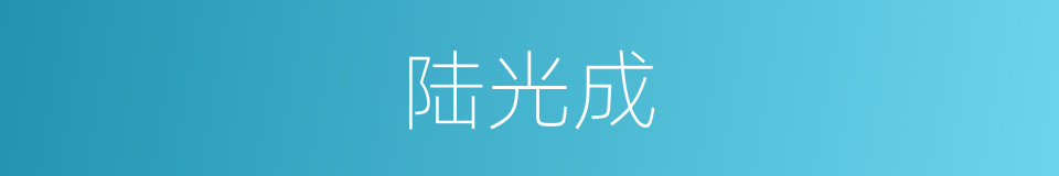 陆光成的同义词
