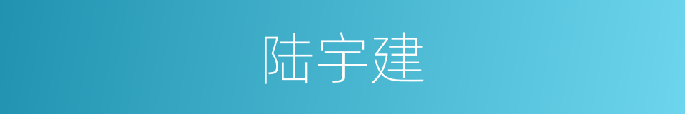 陆宇建的同义词