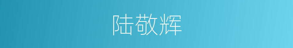 陆敬辉的同义词