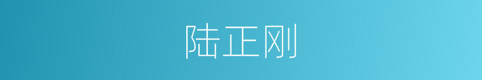 陆正刚的同义词