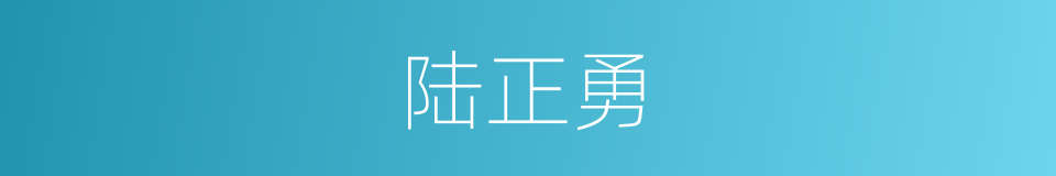 陆正勇的同义词