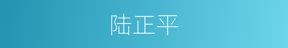 陆正平的同义词