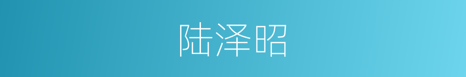 陆泽昭的同义词