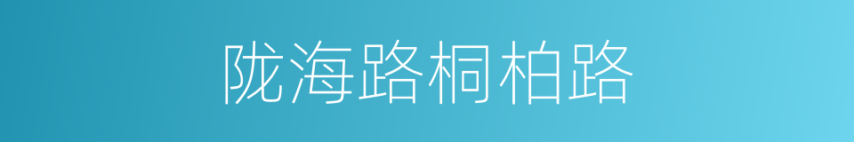 陇海路桐柏路的同义词