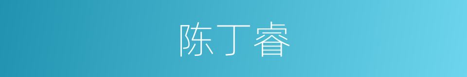 陈丁睿的同义词
