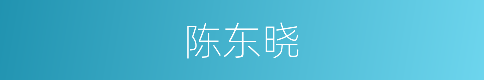 陈东晓的同义词