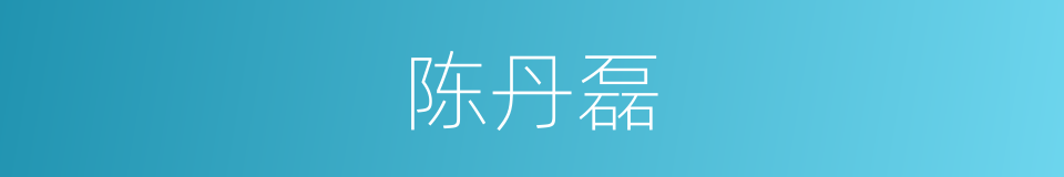 陈丹磊的同义词