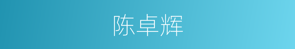 陈卓辉的同义词