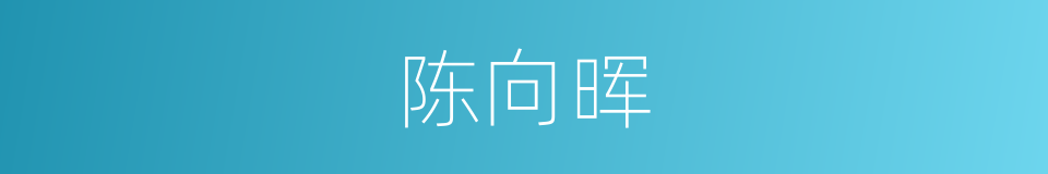 陈向晖的同义词