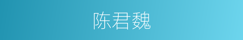 陈君魏的同义词