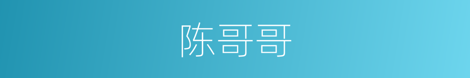 陈哥哥的同义词