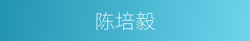 陈培毅的同义词