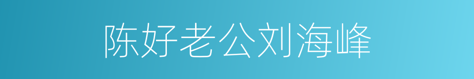 陈好老公刘海峰的同义词