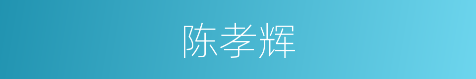 陈孝辉的同义词
