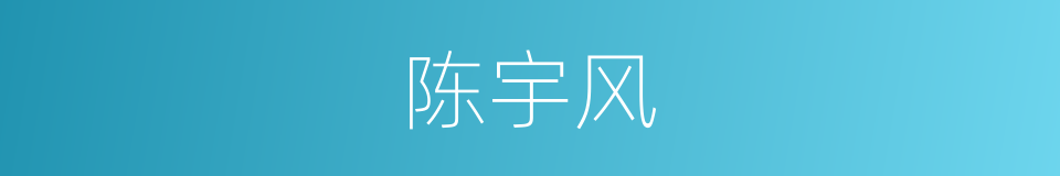 陈宇风的同义词