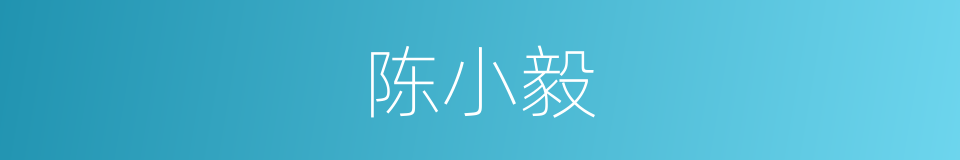 陈小毅的同义词