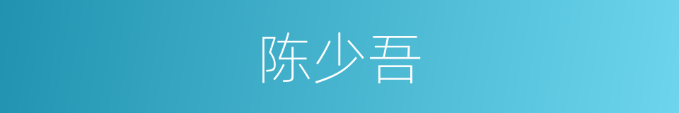 陈少吾的同义词