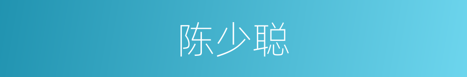 陈少聪的同义词
