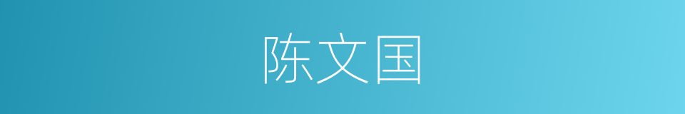 陈文国的同义词