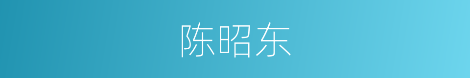 陈昭东的同义词