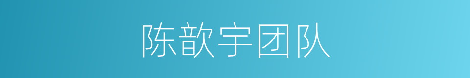 陈歆宇团队的同义词