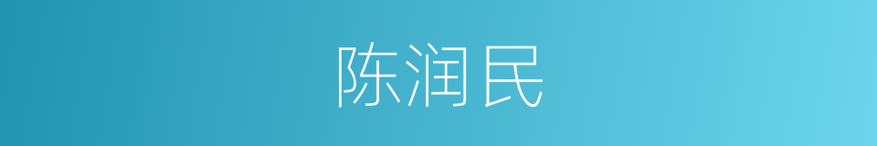 陈润民的同义词