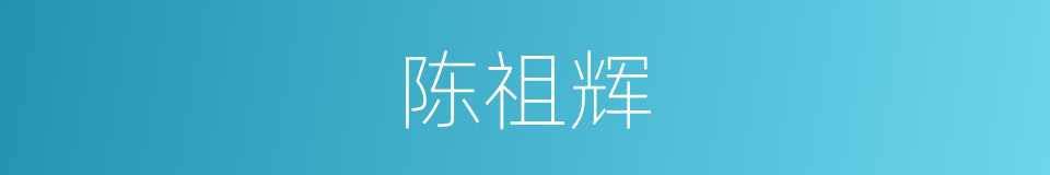陈祖辉的同义词