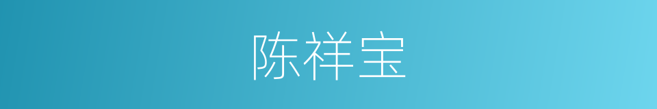 陈祥宝的同义词