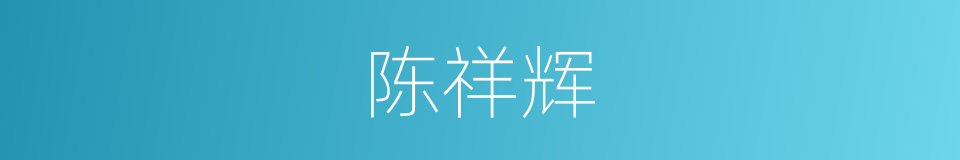陈祥辉的同义词
