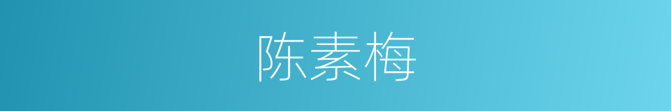 陈素梅的同义词