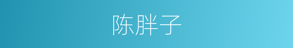 陈胖子的同义词