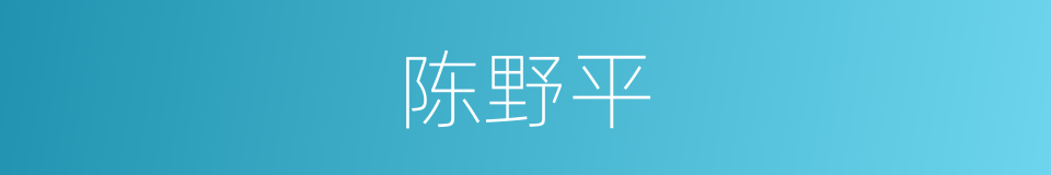 陈野平的同义词