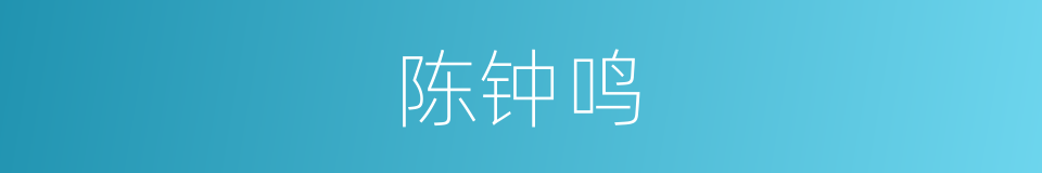 陈钟鸣的同义词