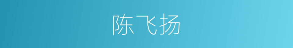 陈飞扬的同义词