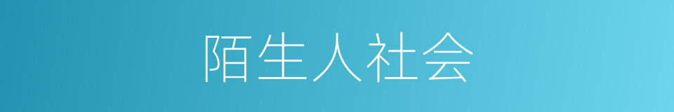 陌生人社会的同义词