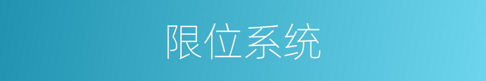限位系统的同义词