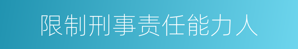 限制刑事责任能力人的同义词