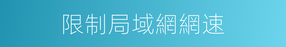 限制局域網網速的同義詞
