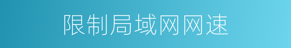 限制局域网网速的同义词