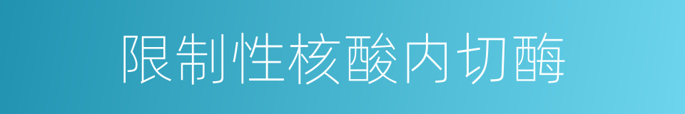 限制性核酸内切酶的同义词