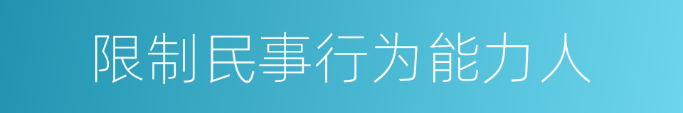 限制民事行为能力人的同义词