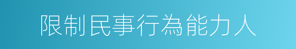 限制民事行為能力人的同義詞