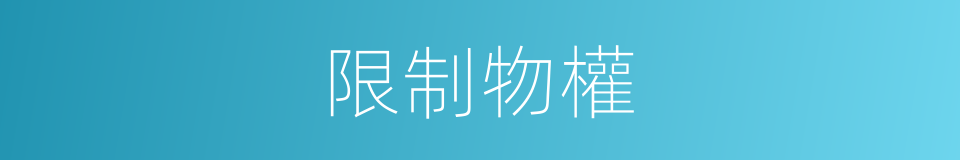 限制物權的同義詞