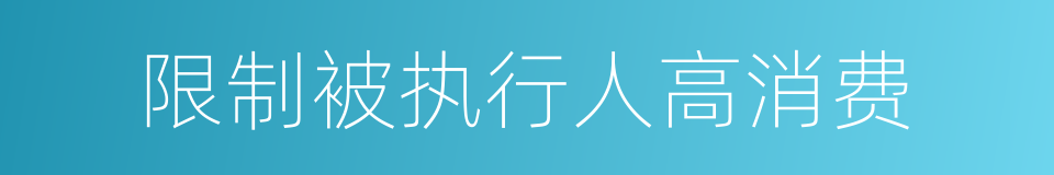 限制被执行人高消费的同义词