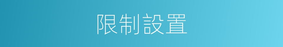 限制設置的同義詞