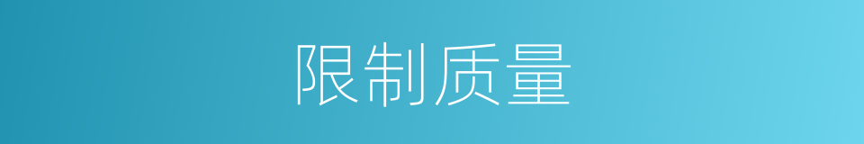 限制质量的同义词